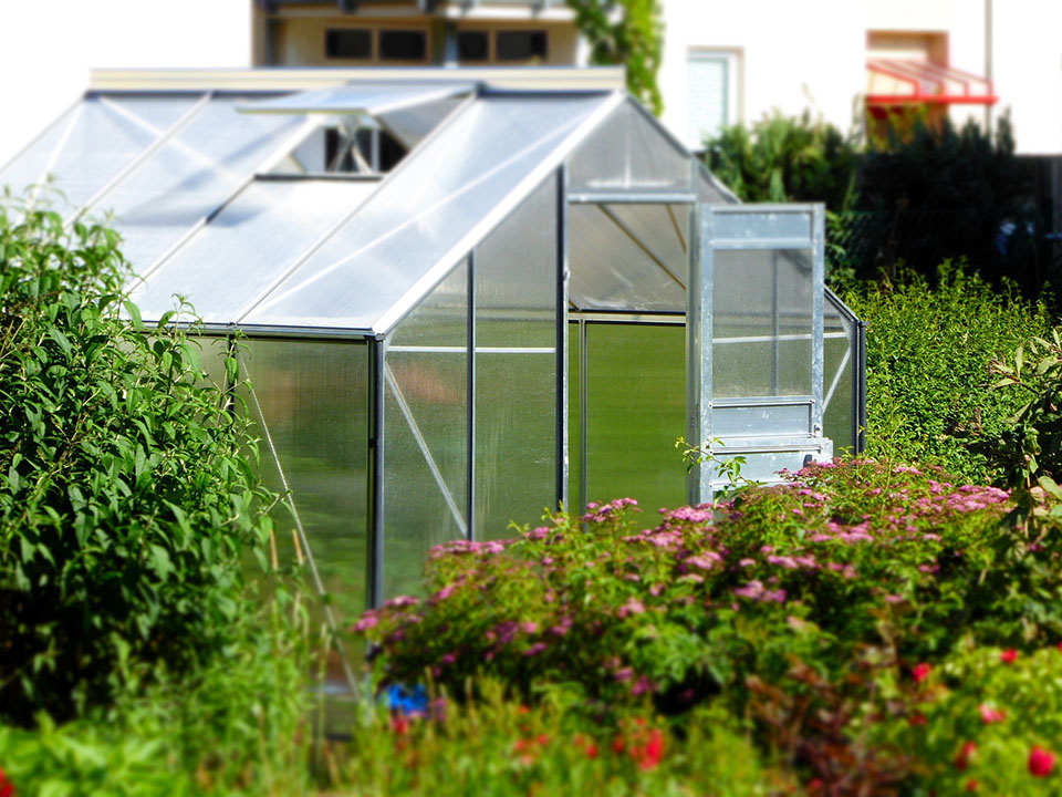 Greenhouse Gardening for beginners - Greenhouse in a green garden