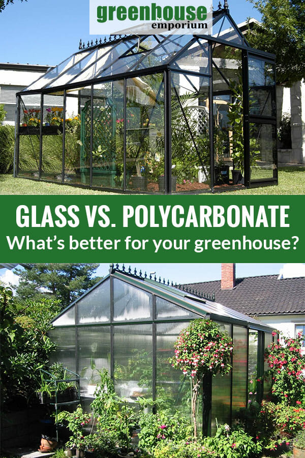 Above is a glass greenhouse with plants inside. Below is a Polycarbonate greenhouse surrounded with plants. The text in the middle says Glass vs Polycarbonate What's better for your Greenhouse?