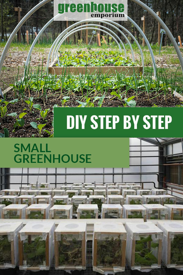 Two small DIY greenhouse types with the text: DIY Step by Step - Small Greenhouse