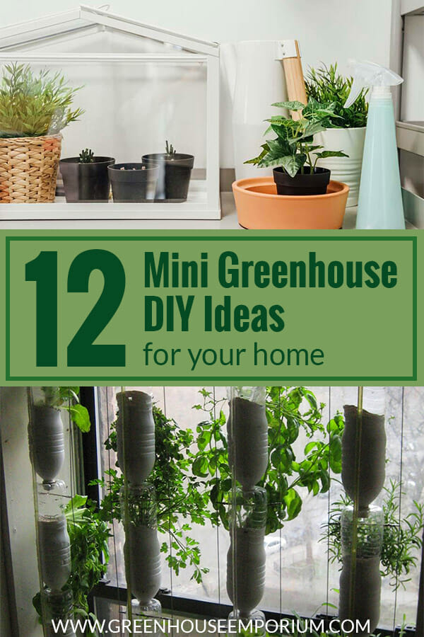 A mini greenhouse at the top and a window farm made of bottles at the bottom with the text: 12 Mini Greenhouse DIY Ideas for your home
