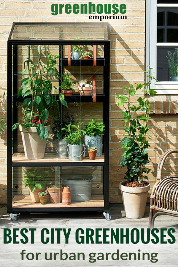 A mini glass greenhouse with text: best city greenhouses for urban gardening