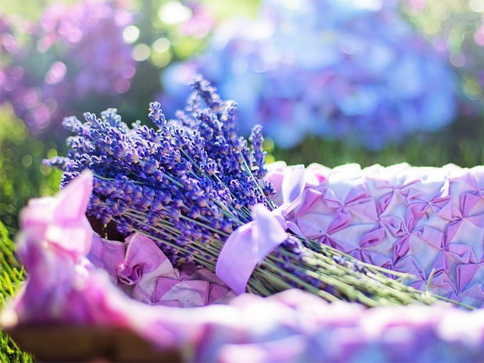 A bundle of lavender flowers placed in a basket