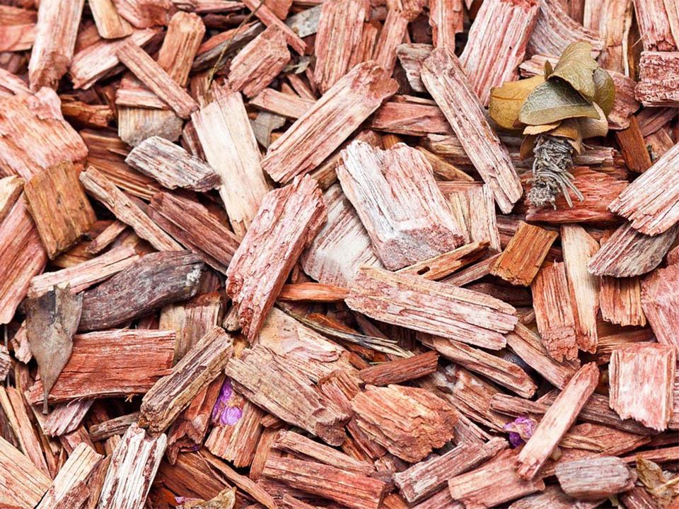 Copeaux de bois brun utilisés comme paillis