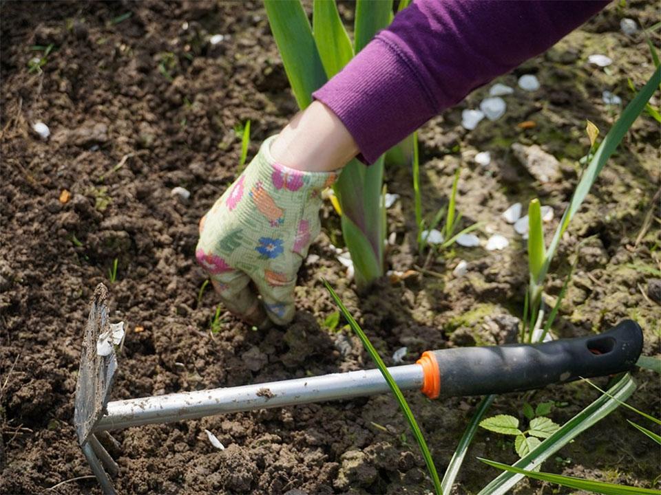 Un jardinier qui enlève les mauvaises herbes en utilisant un