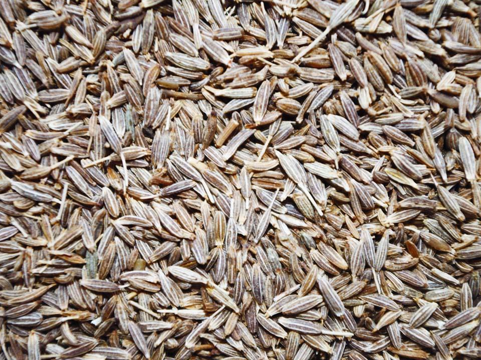scattered Cumin seeds