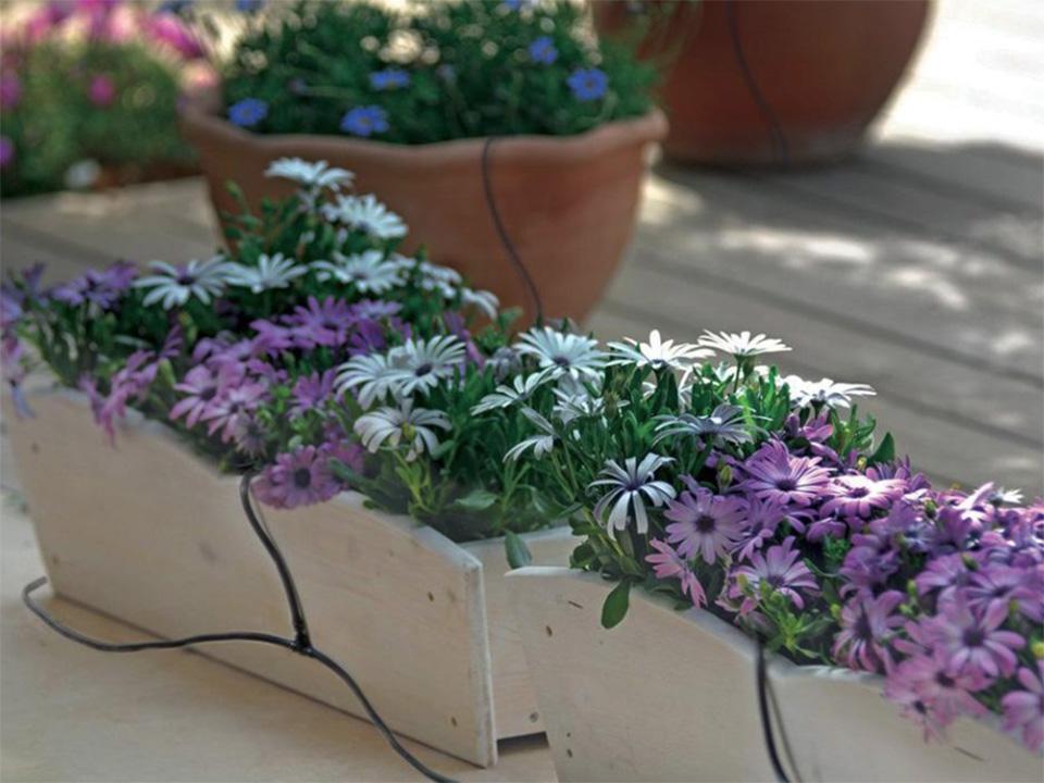 Drip Irrigation System set up on flower pots