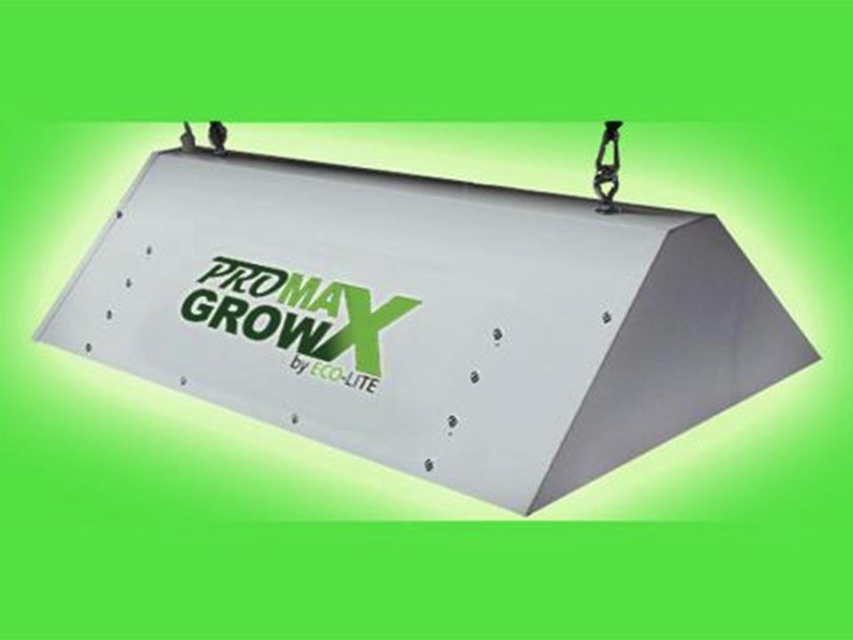 Greenhouse Grow Light in a green background