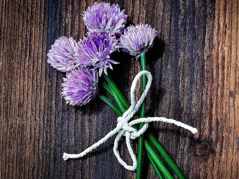 Chives flowers tied beautifully