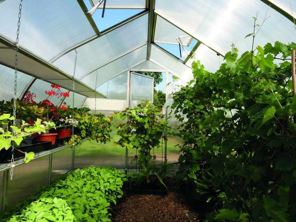 Interior of a greenhouse organized with shelves and other accessories