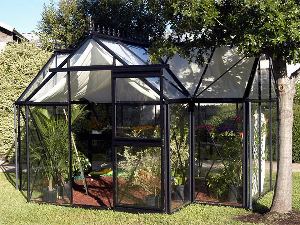 Janssens t-shaped royal victorian greenhouse