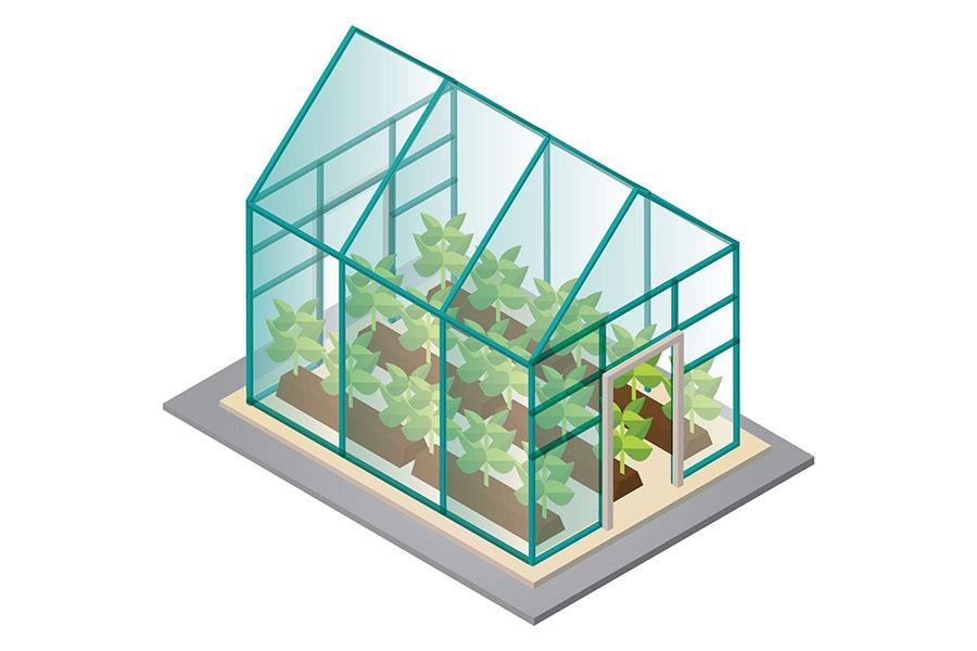 DIY graphic of a tabletop greenhouse made of picture frames