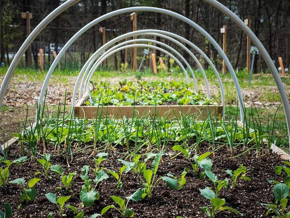 Small greenhouse hoop frame